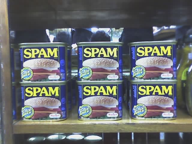 6 Easy Tips To Stop Spam In Your Website