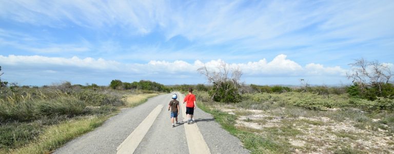 Inspirational quotes to have an absolutely wonderful day